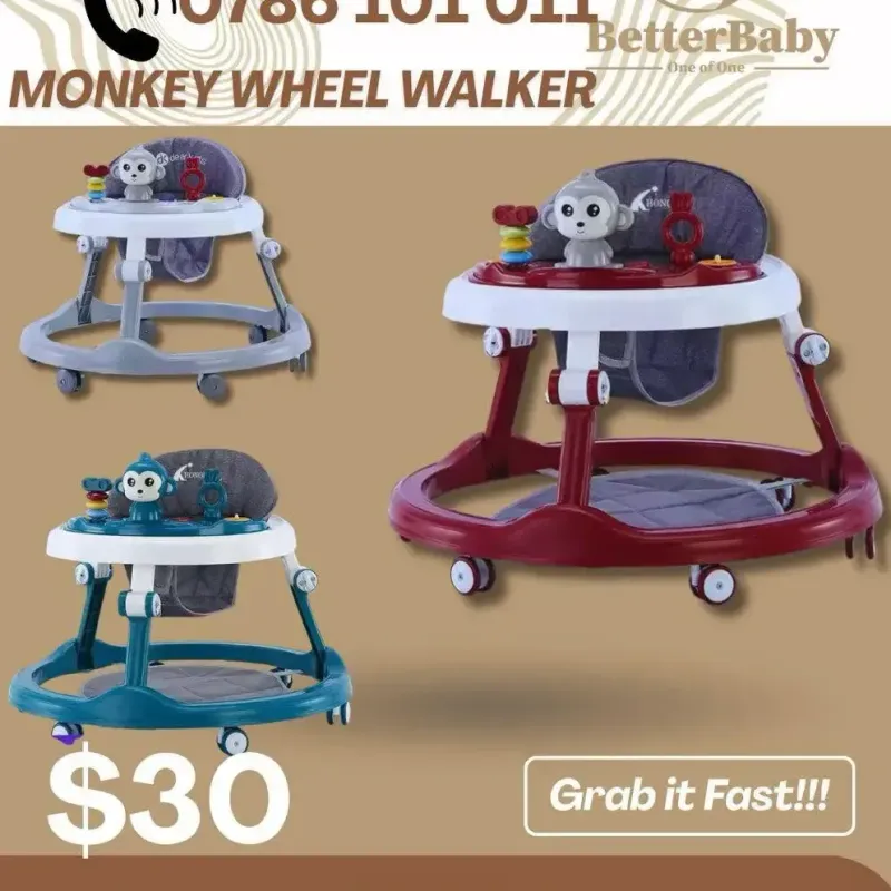 Monkey Baby Wheel Walker