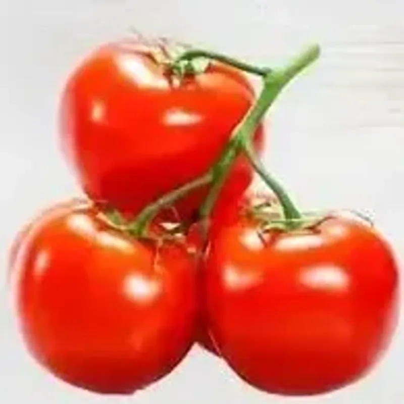 Tomatoes