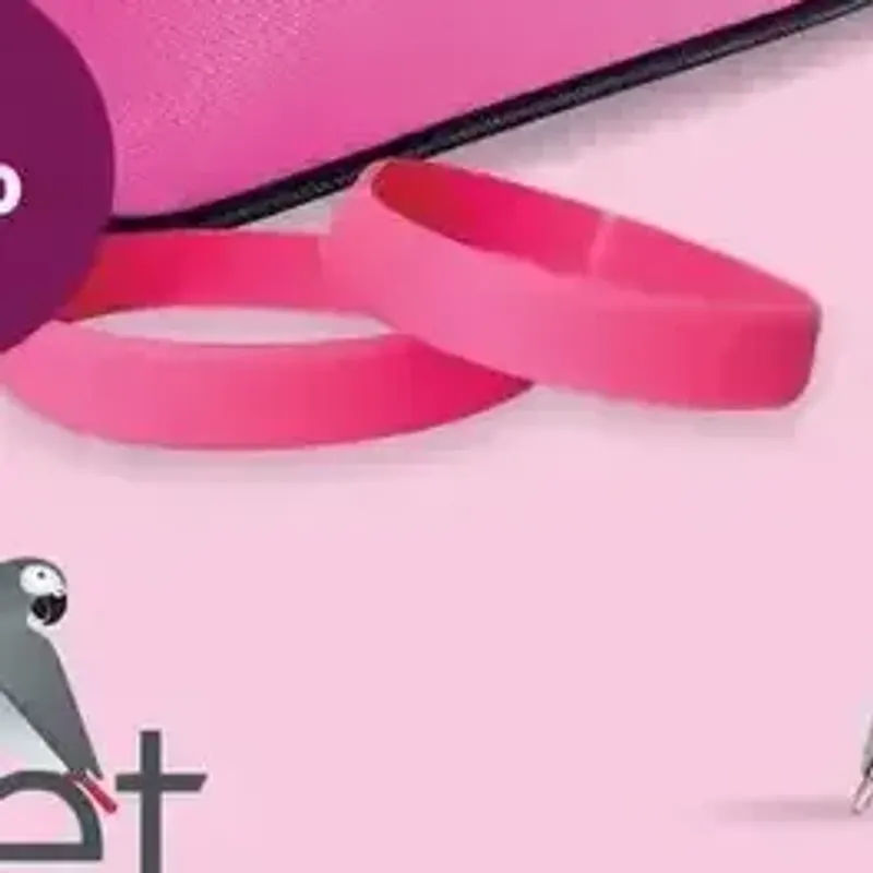 From the TM Pick n Pay promotion Pink Wrist Band