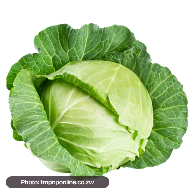 Cabbage
